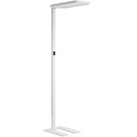 德国柏曼 P柏曼护眼台灯全光谱大路灯儿童卧室阅读立式灯学习落地台灯 骑士I Max 入座感应