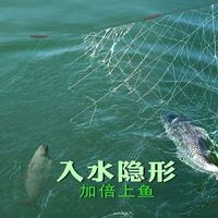 犇大叔鱼网捞晒丝网捞鱼粘鱼三层沉网渔网捕鱼沉底网捕鱼 3米高7指 白三层20米长沉网