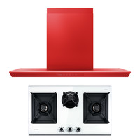 富士帝 日本进口富士帝顶吸加长大吸力油烟机烟灶套装CXW-256-LN2+FH700