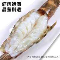 尝鲜生 超大黑虎虾越南巨型特大虾金刚虾海鲜 斑节对虾老虎虾 6只装 800g(净重)  长23-26cm