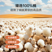 博洋(BEYOND)家纺纯棉床单单件全棉宿舍单人被单床上用品双人夏季 花语 适用1.2m-1.5m床 230cm*160cm