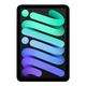 Apple iPad mini 7 2024款 平板电脑（A17 Pro、128GB、WLAN版、深空灰色）
