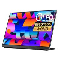 EHOMEWEI 一泓微 Q1 16英寸 IPS 显示器（2560×1600、60Hz、100%DCI-P3）