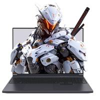 MECHREVO 机械革命 极光X 十三代酷睿版 16英寸 游戏本 灰色(酷睿i7-13700HX、RTX 5060 8G、16GB、1TB、2560*1600、180Hz)