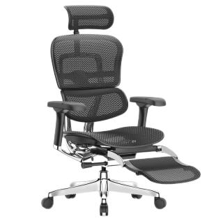 PLUS会员：Ergonor 保友办公家具 保友金豪E2/金豪E2 Pro 高端人体工学椅银白网 整椅发货 送货上门