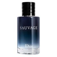 Dior 迪奥 旷野男士淡香水 EDT 100ml