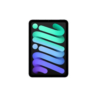 Apple iPad mini 7 2024款 平板电脑（A17 Pro、128GB、5G版、