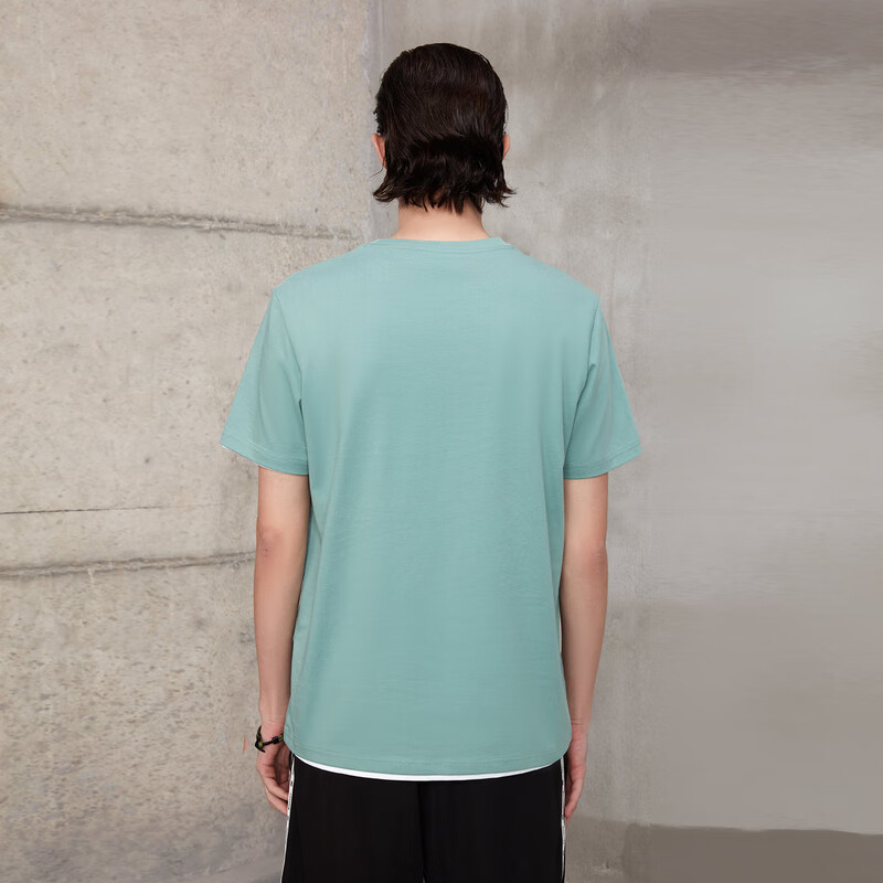 浅绿C8