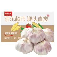 京鲜生 河南紫皮新蒜 直径4cm+ 净重3斤