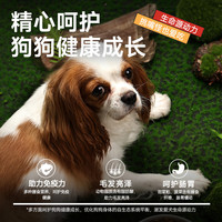 麦富迪营养森林狗粮  肉粒系列犬粮成犬幼犬通用型小型犬粮 【小型犬全期】10kg