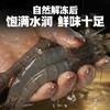 良德源 Liangdeyuan 青虾 国产北海 更高品质 1kg(净重)