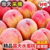 现摘毛桃新鲜桃子水果当季整箱包邮蜜桃脆甜露天自然熟