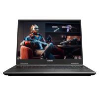 神舟 战神T12 Pro 14代酷睿i9 16英寸游戏本笔记本电脑(32G 1TB 2.5K 300HZ)