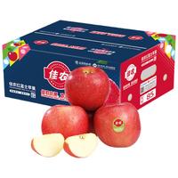 佳农烟台红富士苹果净重10斤大果 果径85mm+ 礼盒装 生鲜水果
