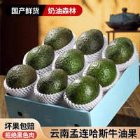 秋千果歌 孟连哈斯牛油果  4颗-精选果100-130g