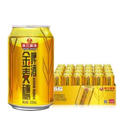 珠江啤酒 金麦穗啤酒 330ml*24听