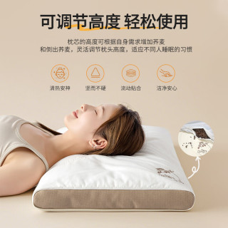 张御 6斤纯荞麦枕头 100%甜荞麦壳纯棉枕套护颈枕芯单只装48x74cm