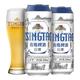 青岛啤酒 全麦贵族白啤 500ml*12听 整箱