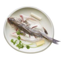 三都港 清蒸海鲈鱼 500g