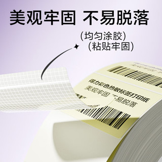 得力（deli）三防彩色热敏标签纸 40*60mm 640张*1卷 浅绿色热敏标签打印纸 货物条码标签纸 ZG501