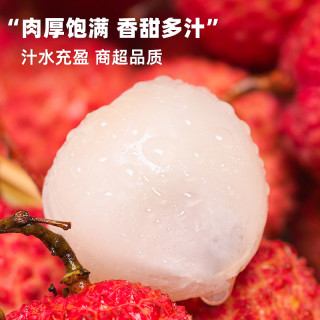 【下拉详情领优惠】广东茂名桂味荔枝当季新鲜水果现摘现发