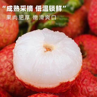 【下拉详情领优惠】广东茂名桂味荔枝当季新鲜水果现摘现发