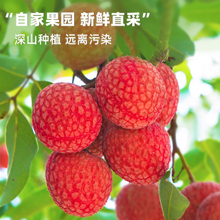 【下拉详情领优惠】广东茂名桂味荔枝当季新鲜水果现摘现发