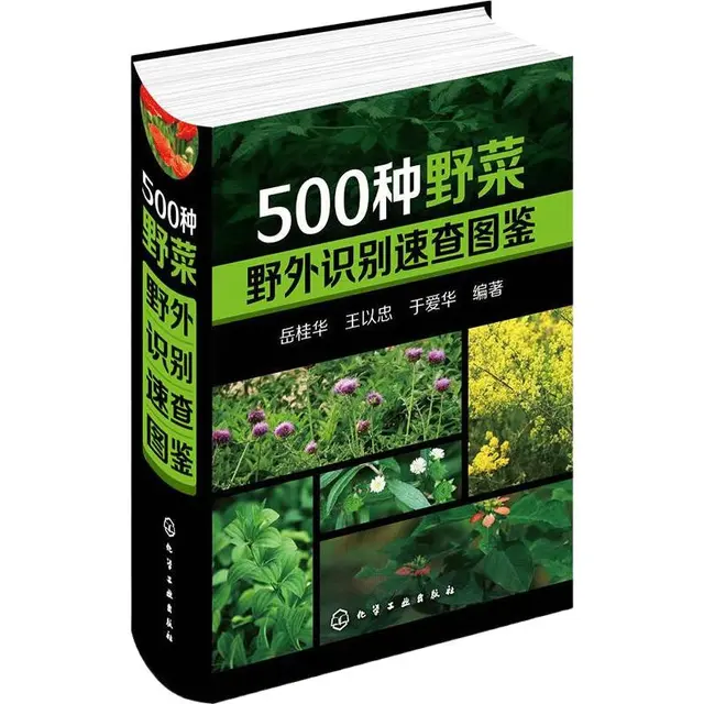 《500种野菜野外识别速查图鉴》（精装）