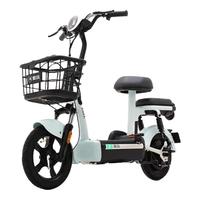 爱玛（AIMA）欢乐豆48V12电动车电动自行车新国标成人可上牌电瓶车 源彩布朗灰