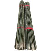 诺化竹竿菜园搭架黄瓜豆角西红柿爬藤支架旗杆篱笆竹杆子 1厘米粗1米30根