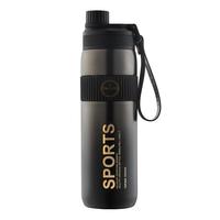 泰福高（TAFUCO）保温水杯男女士大容量运动吸管保温杯子600ml2024 T1545