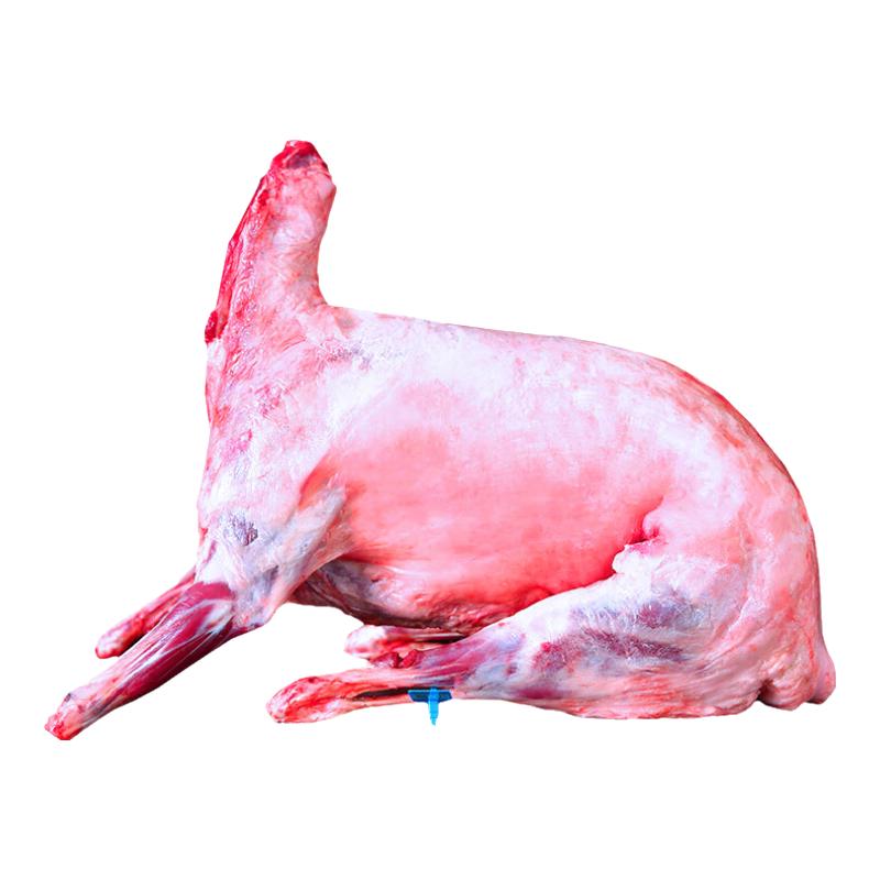  谷开元 新鲜现宰 宁夏滩羊肉  【国潮礼盒】乳羔羊18斤全羊 礼盒装