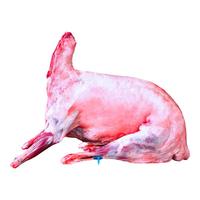 谷开元 新鲜现宰 宁夏滩羊肉 全羊乳羔羊【福羊礼】 礼盒装 20斤