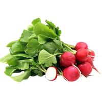 种菜记 蔬菜种子大全快菜生菜鸡毛菜种籽四季南方小青菜春季阳台蔬菜孑 樱桃萝卜种子200粒