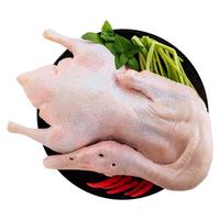  CP/正大食品 净膛 樱桃谷鸭  樱桃谷鸭 2.2kg 4.4斤（1只）