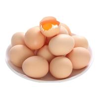 燕归谷 农家散养初生蛋 蛋类 30枚单枚40±5g