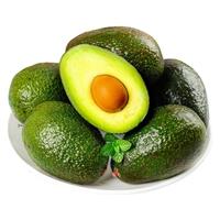 鲜青录秘鲁牛油果鳄梨奶油酷热带新鲜宝宝水果 净重 720g 4个一级特大 单180-210g