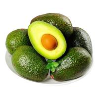 鲜青录秘鲁牛油果鳄梨奶油酷热带新鲜宝宝水果 1040g 划算8个大果 单果130-160g