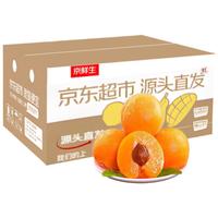 京鲜生 山西大黄杏 净重1.5斤 单果50g起 酸甜杏子 新鲜水果 源头直发