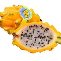 椰箩当季现摘燕窝果礼盒【速运】海南广西麒麟果黄金火龙果果 中果二斤礼盒【单果100-150g】