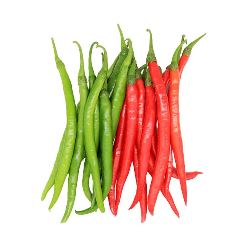 种菜记 蔬菜苗大全草莓苗番茄苗辣椒苗西瓜苗四季南方水果阳台盆栽苗秧 线椒苗6棵