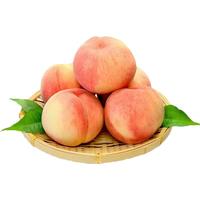 京觅 四川龙泉驿水蜜桃 6枚 单果150g+ 新鲜水蜜桃水果桃子 源头直发 6枚 单果150g+