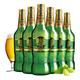 PLUS会员、今日必买：Augerta 青岛啤酒（TsingTao）奥古特480ml*6瓶 整箱装