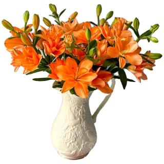 吉米鹿 稀有橙色百合花鲜花云南基地鲜切花束源头直发