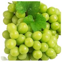 Mr.Seafood 京鲜生 云南阳光玫瑰葡萄 2斤装 单果6g起