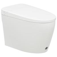瑞尔特(R&T)普通马桶家用离座自动冲水无需插电智冲马桶 W5202 305/300mm