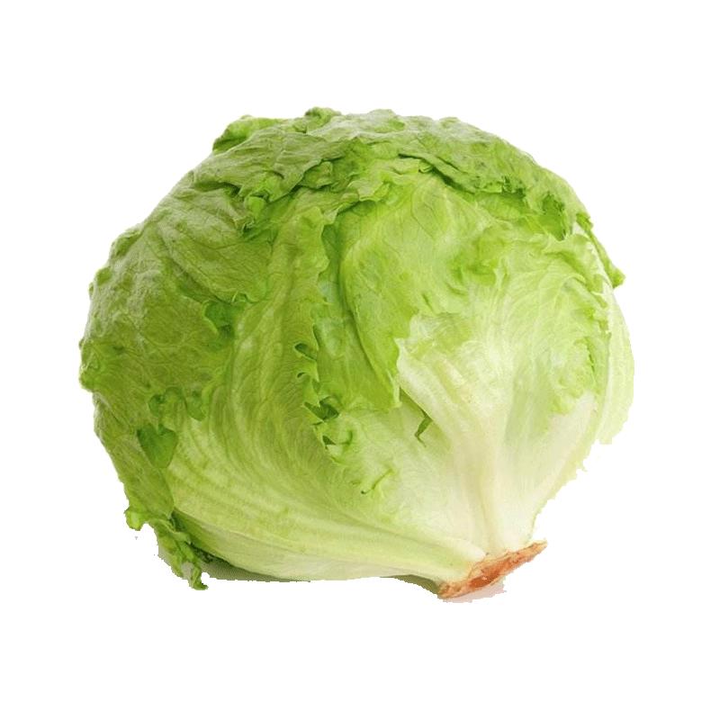 种菜记 蔬菜种子大全快菜生菜鸡毛菜种籽四季南方小青菜春季阳台蔬菜孑 结球生菜种子200粒