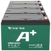 天能 电动车48V12Ah铅酸电池 电瓶车 免费上门安装