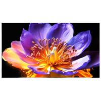 长虹 75D6H 液晶电视 75英寸 4K