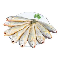 鲜京采 冷冻舟山鲜捕小黄鱼1.5kg 30-36条/kg